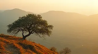 The Echoes in the Grain: How Landscape Shapes Regional Carving Narratives